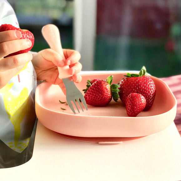 Stainless Steel Training Cutlery