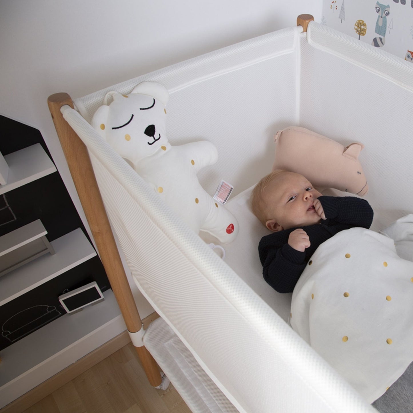 Evolux Crib