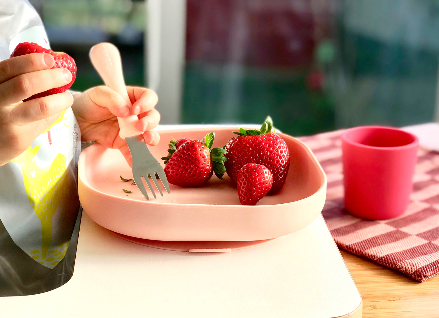 Silicone Meal Set