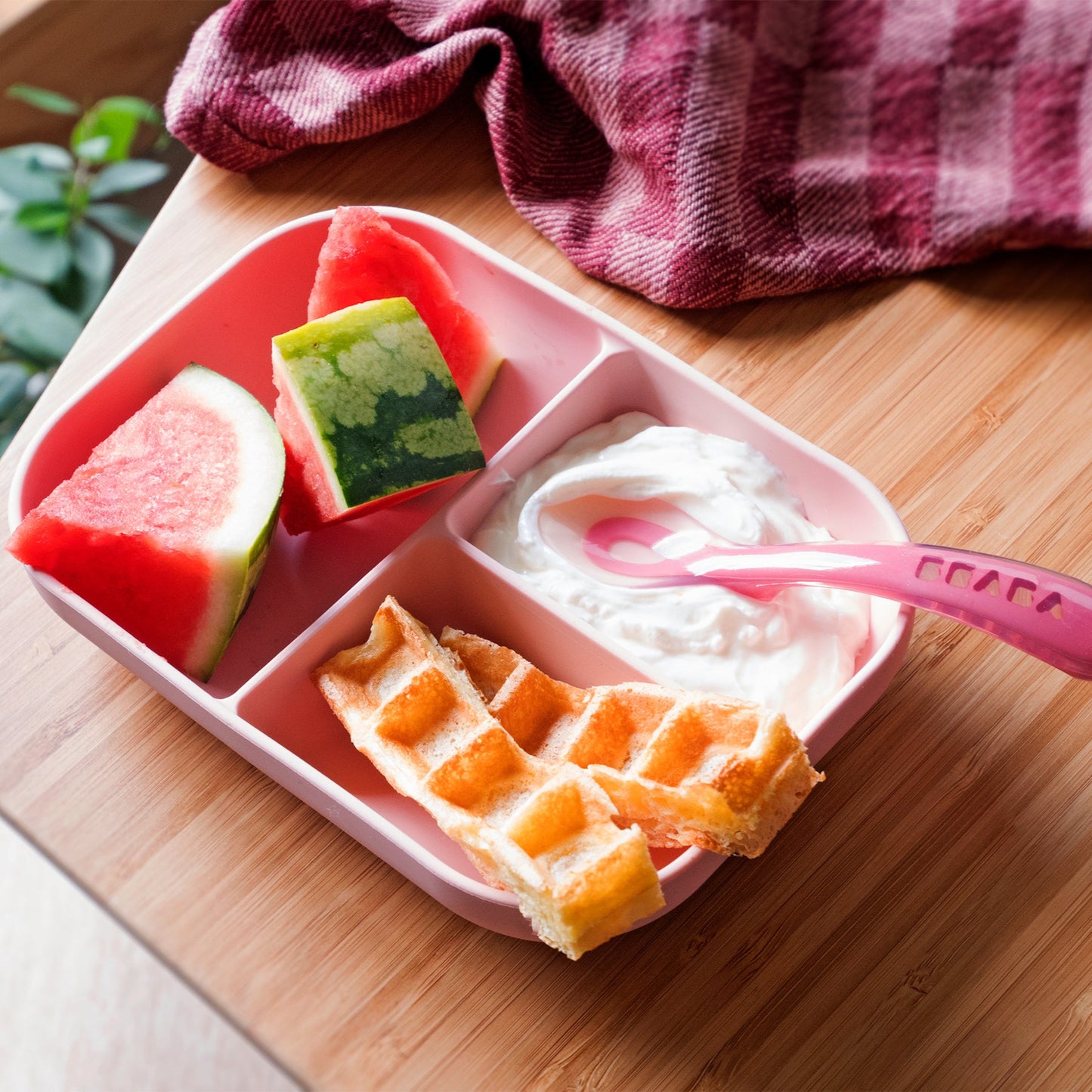 Silicone Meal Set with Divider