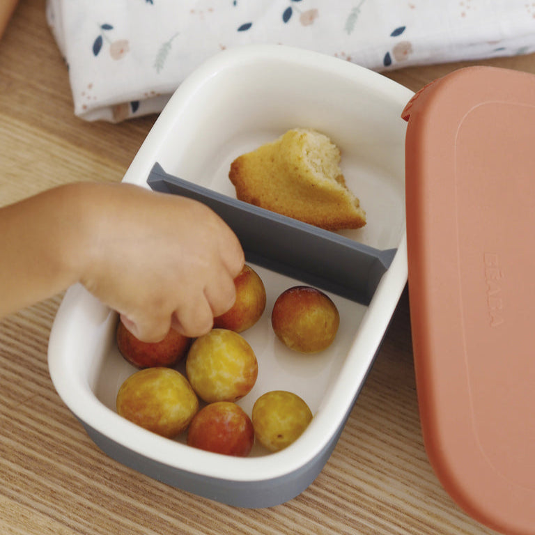 Ceramic Lunch Box