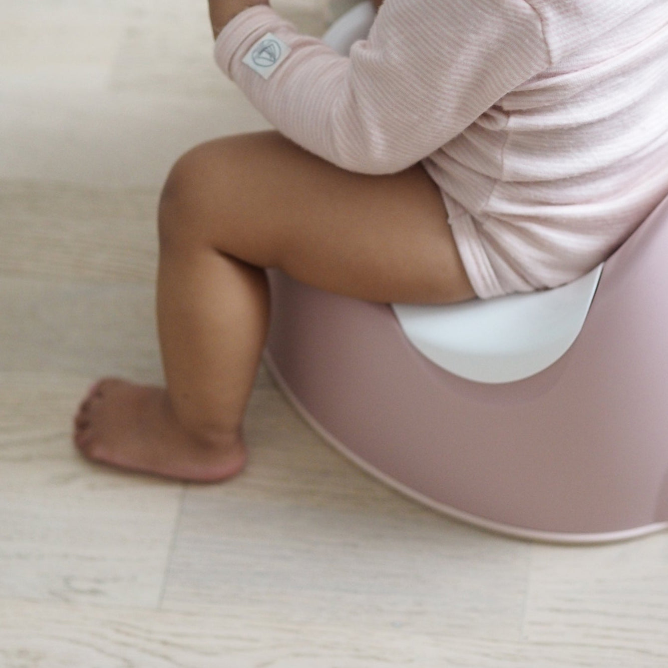 Training Potty