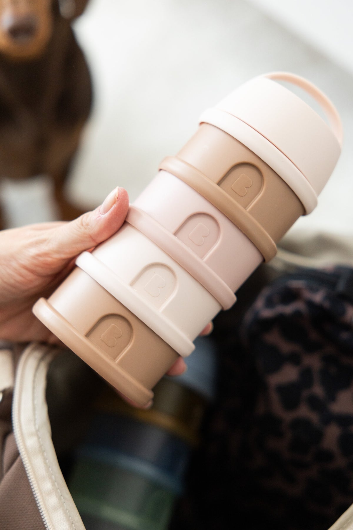Formula Milk Container 4 Compartments
