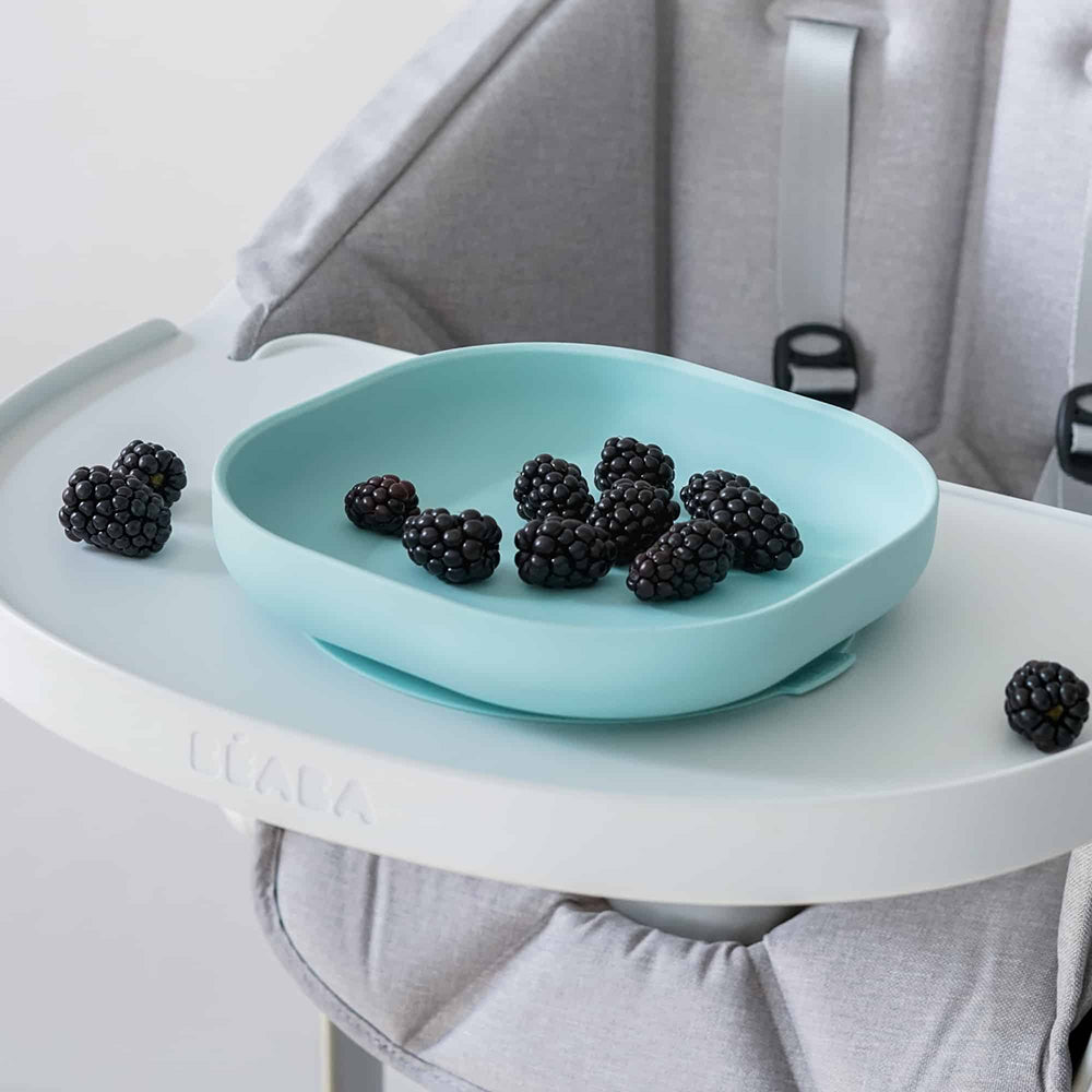 Silicone Suction Plate
