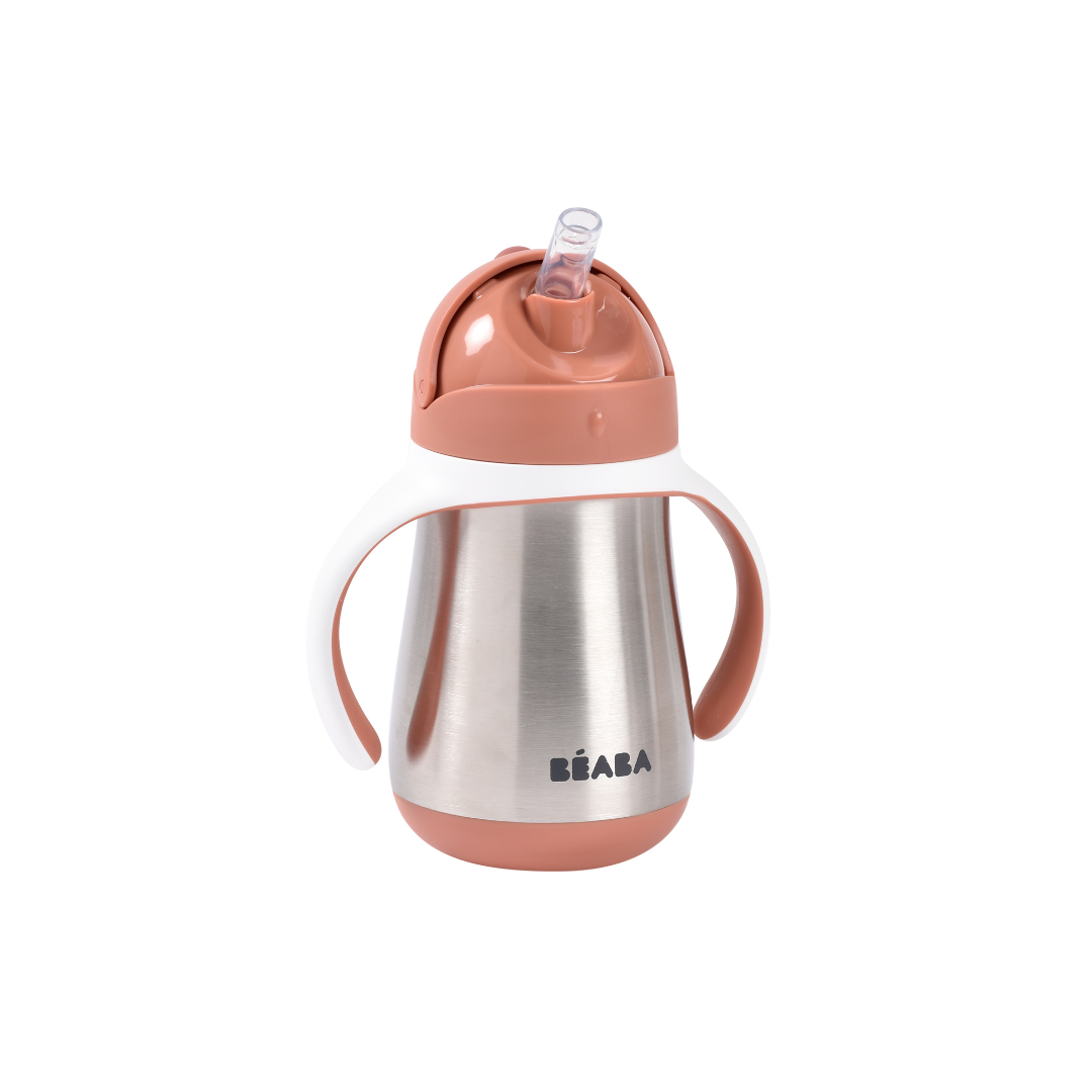 Stainless Steel Straw Cup 250ml