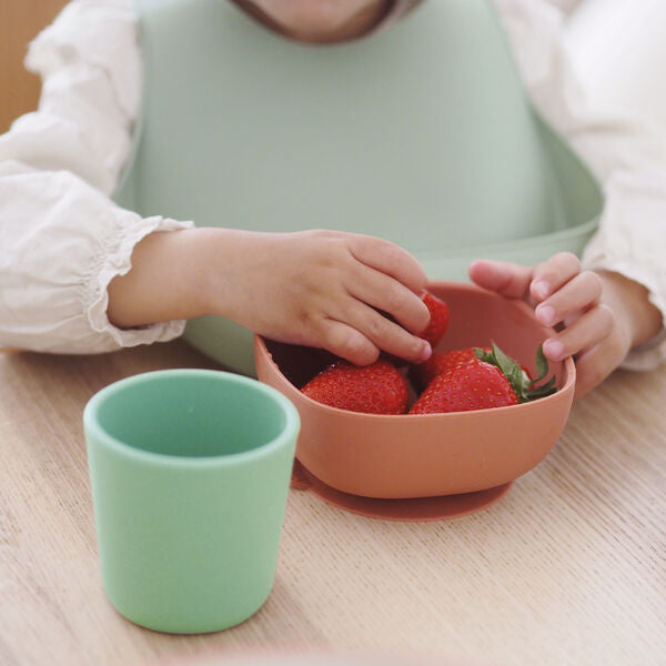 Silicone Meal Set