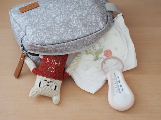 Toiletry Pouch