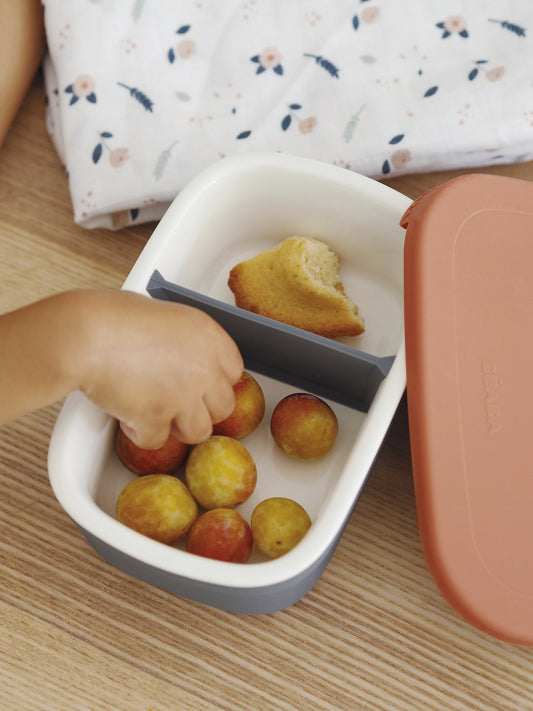 Ceramic Lunch Box